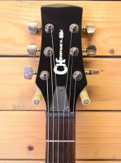 Charvel DS-3 ST/TR_3