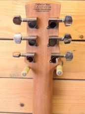Charvel DS-3 ST/TR_4
