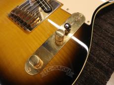 Fender Japan 2013 TLR-145RK Richie Kotzen Telecaster Sunburst_13