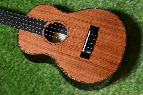 Seilen SLTS-1990Srw Tenor