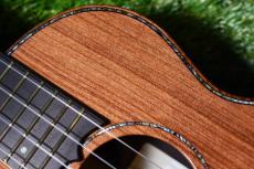 Seilen SLTS-1990Srw Tenor_9