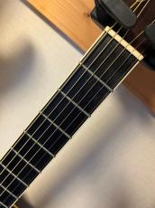 Tokai CE-1000S_6
