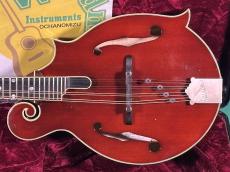 Gibson F-5G CUSTOM_2