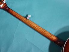 OME  PROFESSIONAL BANJO _8