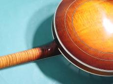 OME  PROFESSIONAL BANJO _9