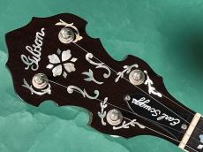 Gibson EARL SCRUGGS STD_5