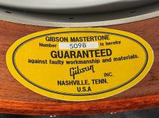 Gibson EARL SCRUGGS STD_11