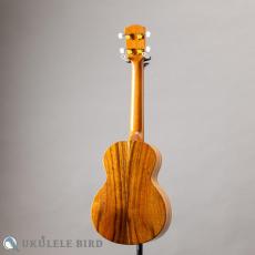 G String T4 Sun Tenor_12