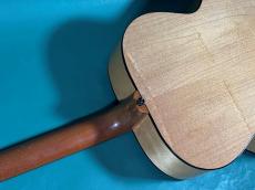 Gibson J-100XT_9