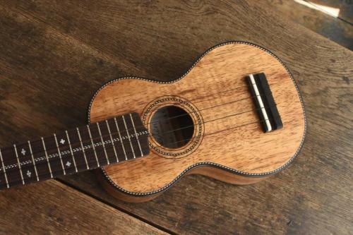 Seilen Soprano SLVS-263