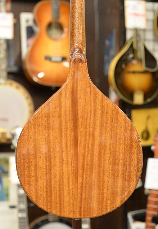 Gold Tone Mandola Traditional Irish Mandola 2022年代 新品 1171978 Gold Tone