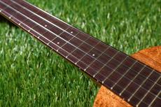 tkitki ukulele AMC-ABALONE Concert【S/N1569】_7