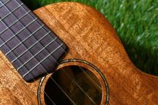 tkitki ukulele AMC-ABALONE Concert【S/N1569】_11