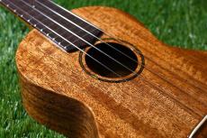 tkitki ukulele AMC-ABALONE Concert【S/N1569】_12