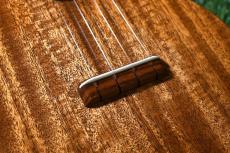 tkitki ukulele AMC-ABALONE Concert【S/N1569】_13