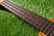 tkitki ukulele AMC-ABALONE Concert【S/N1570】_7