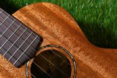 tkitki ukulele AMC-ABALONE Concert【S/N1570】_10