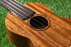 tkitki ukulele AMC-ABALONE Concert【S/N1570】_11