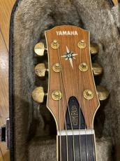 YAMAHA CPX-15WA_4