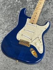 Sadowsky 【特選中古】Modern Edge Strato TBL  【2012'sUSED】【生産終了モデル】
