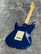 Sadowsky 【特選中古】Modern Edge Strato TBL  【2012'sUSED】【生産終了モデル】_8