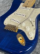 Sadowsky 【特選中古】Modern Edge Strato TBL  【2012'sUSED】【生産終了モデル】_9