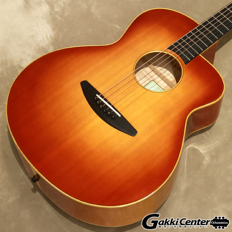 新作人気モデル A ギター baden style guitars （baden ハードケース付 ベーデン ギター