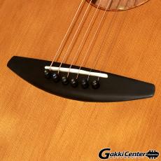 Baden A-style A-CZ-NVS_7