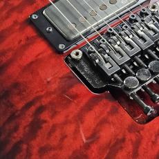 E-II HORIZON FR-II See Thru Black Cherry Sunburst-_3