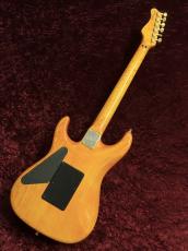 Valley Arts Custom Pro SRE-270-SL_4