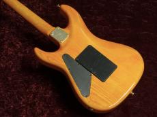 Valley Arts Custom Pro SRE-270-SL_5