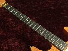 Valley Arts Custom Pro SRE-270-SL_6