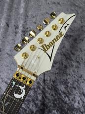 Ibanez PIA3761 "Paradise in Art"【STEVE VAI Signature Model】当店限定特典 ストラップ付き!_6