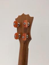 KoAloha KSO-10 OPIO SOP_8