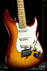 Fender American Professional Stratocaster / 2018_3