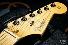Fender American Professional Stratocaster / 2018_4