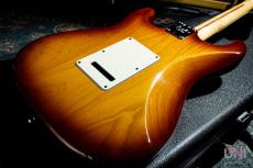 Fender American Professional Stratocaster / 2018_8