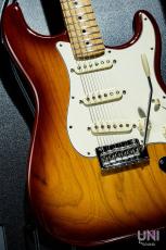 Fender American Professional Stratocaster / 2018_9