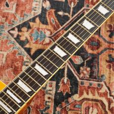 Tokai LS-101S GT -Gold Top-_5