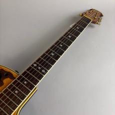 Ovation CC257_3