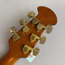 Ovation CC257_8