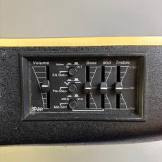 Ovation CC257_10