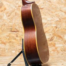 Gibson B-25 Nat 1966_5