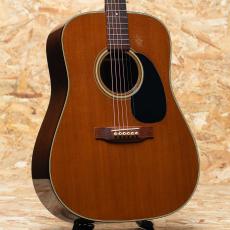 Martin D-19 1977