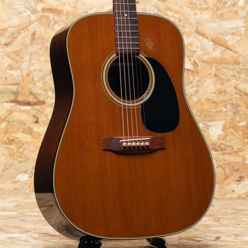 Martin D-19 1977