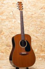 Martin D-19 1977_3
