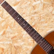 Martin D-19 1977_6
