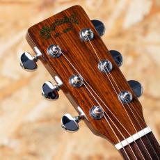 Martin D-19 1977_8