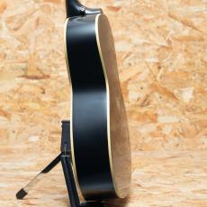 Epiphone Inspired by Gibson L-00 Standard VS_5