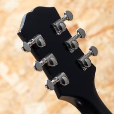 Epiphone Inspired by Gibson L-00 Standard VS_9